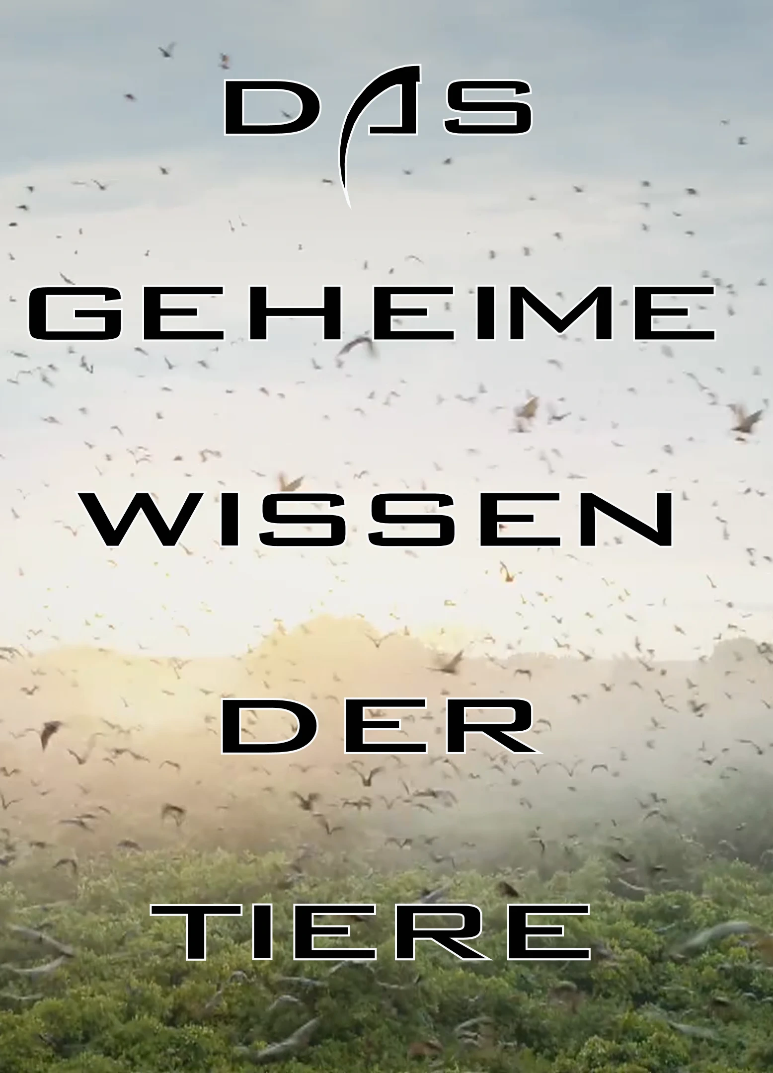 (Bild für) Das geheime Wissen der Tiere (FS - FHD) - zum Schließen ins Bild klicken